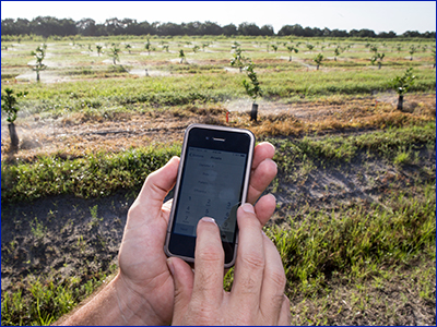 An IFAS irrigation app on a smartphone, photo by Tyler Jones, UF/IFAS