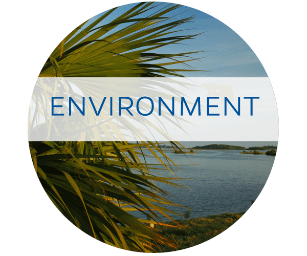 UF/IFAS Water In the Environment