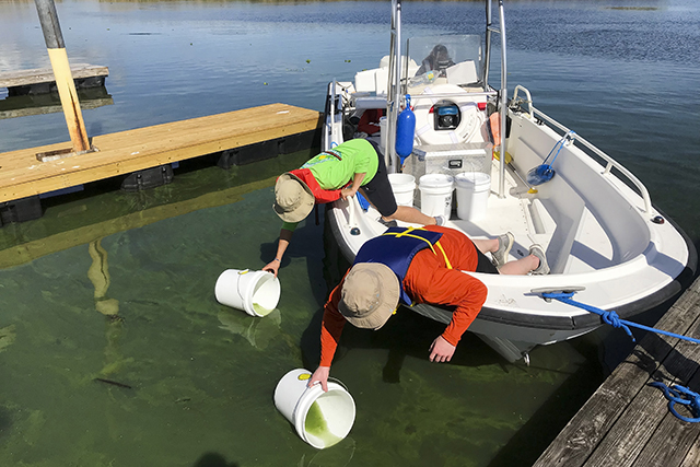 researchers taking algal bloom samples