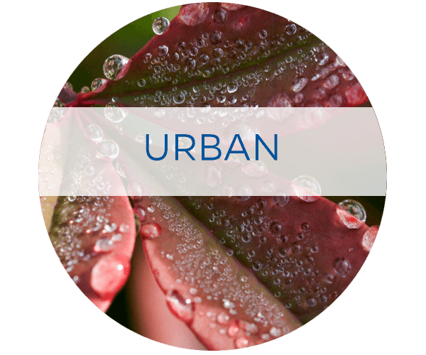 UF/IFAS Urban Water