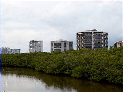 Naple development encroaching upon mangroves; photo by Tyler Jones, UF/IFAS