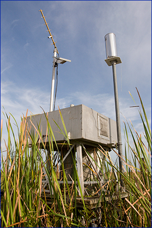 Rainfall monitor in field; photo by Tyler Jones, UF/IFAS