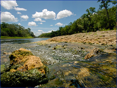 Water rushing over rocks in a stream; photo by Tyler Jones, UF/IFAS